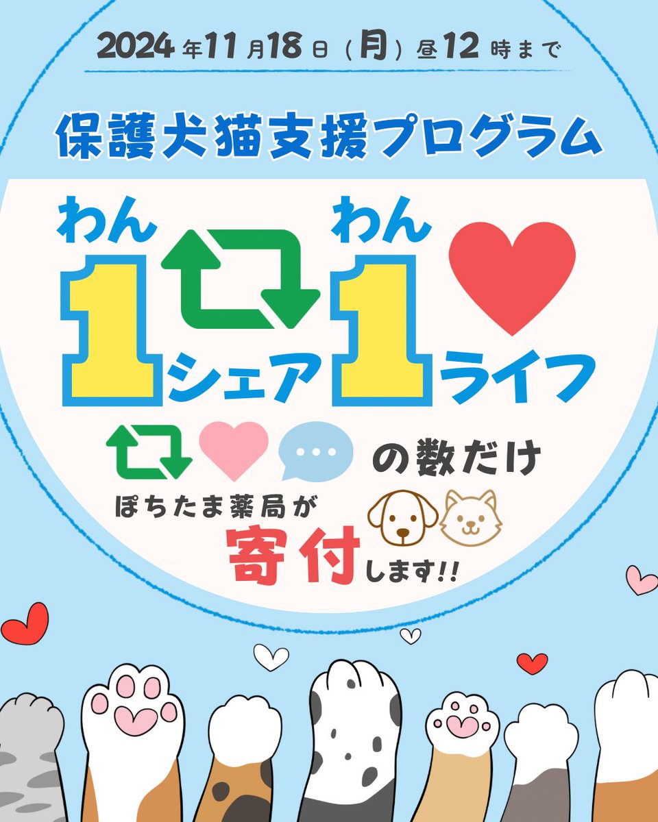pochi10tama's tweet photo. ＼＼＼ #1シェア1ライフ ／／／

「いいね」「リポスト」「引用リポスト」「コメント」数の合計ポイントを、
保護犬猫支援プログラムメンバーに寄付いたします❕
(各ポイント数は画像をご覧ください⤵︎ ︎)

いいねからコメントまで全て行うと100ポイント✨ぜひ、いいねだけではなく、コメントなどもしてみてください🥹
皆様ひとつひとつの行動がご支援につながります*.ﾟ⋆⸜🌷⸝‍⋆*.ﾟ

┈┈┈┈┈┈┈┈┈┈
⏳11/18(月) 12:00 締切

※寄付されたポイントはぽちたま薬局で使用可能です