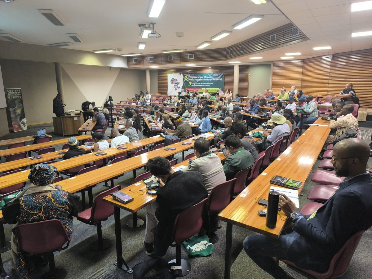JerryNkenku's tweet photo. Un grand honneur de recevoir le prix de la meilleure présentation orale lors du 3ème Congrès de la Société Africaine de Primatologie @SocietyAfrican

#galago #bushbaby #APS2024 🐒 https://t.co/oUf4H7ronL