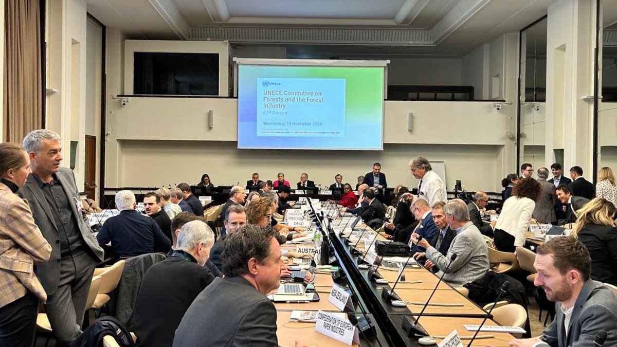 GENeva Environment Network (@genetwork) on Twitter photo The <a href="/GENetwork/">GENeva Environment Network</a> is at the <a href="/UNECEForests/">UNECE Forests</a> Deforestation-Free Trade Dialogue!
Addressing #deforestation & its importance in tackling #ClimateChange & #BiodiversityLoss, cross-sectoral approaches, transition pathways, & SME concerns will be discussed.
▶️ unece.org/info/Forests/e… The <a href="/GENetwork/">GENeva Environment Network</a> is at the <a href="/UNECEForests/">UNECE Forests</a> Deforestation-Free Trade Dialogue!
Addressing #deforestation & its importance in tackling #ClimateChange & #BiodiversityLoss, cross-sectoral approaches, transition pathways, & SME concerns will be discussed.
▶️ unece.org/info/Forests/e…
