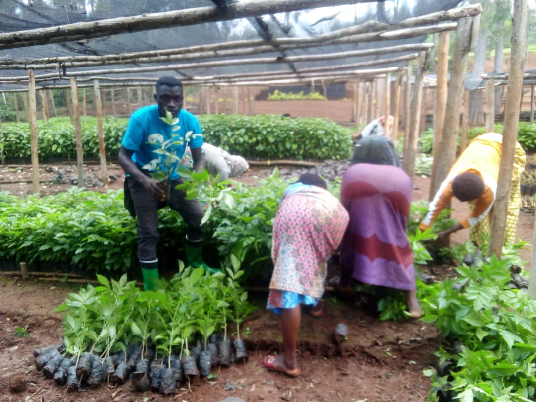 RECOR Rwanda tweet media
