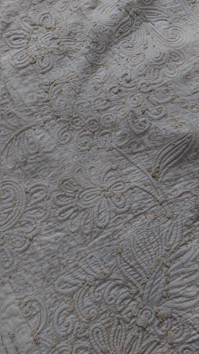 Rachel Coman tweet media