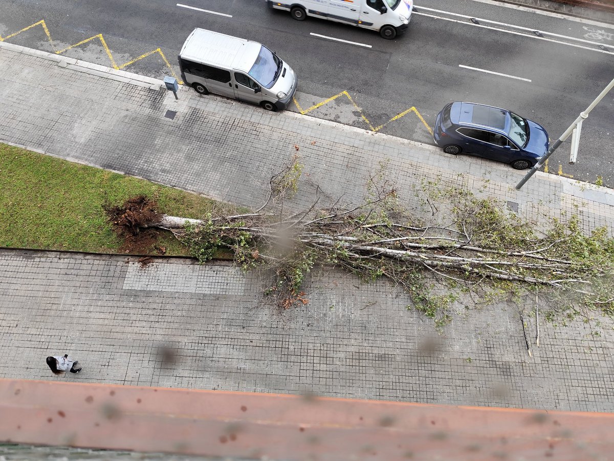 ramonginez's tweet photo. @bcn_ajuntament  acaba de caer un árbol Carrer de Arago 651 https://t.co/rCNOPSF1tc