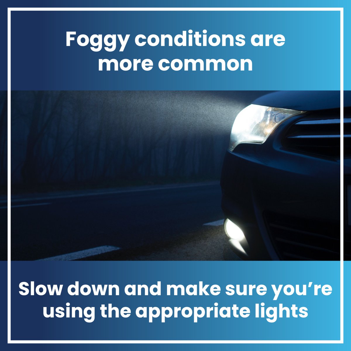 Auto Windscreens tweet media