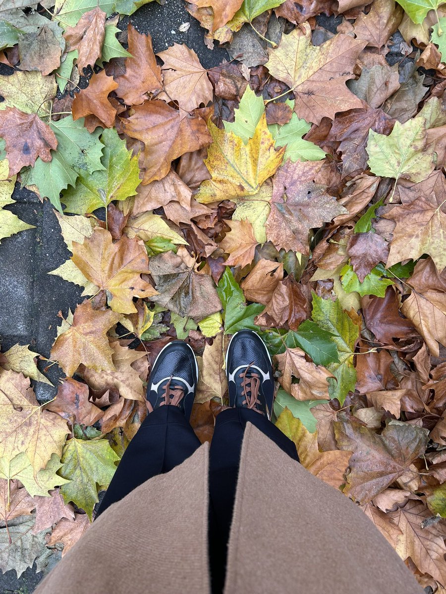 Ga je ook mee naar @liesbethvdw.bsky.social ? #hetwasmooioptwitter #verhuizen #bluesky 🦋