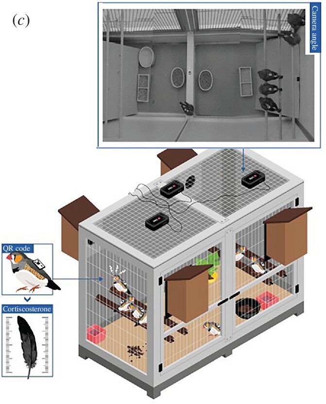 Hanja Brandl (@hanjabrrr) on Twitter photo Stress transmission in bird flocks–it’s a thing! 🐦🐦⚡️<a href="/DamienFarine/">Damien R. Farine</a> and I show what happens to zebra finches living together with stressed friends. Stoked to see this out, sooo much hard work went into it. Thanks <a href="/CBehav/">Centre for the Adv Study of Collective Behaviour</a> <a href="/UniKonstanz/">Universität Konstanz</a> <a href="/MPI_animalbehav/">MPI-AB is on Bluesky @mpi-animalbehav.bsky.social</a> royalsocietypublishing.org/doi/10.1098/rs… Stress transmission in bird flocks–it’s a thing! 🐦🐦⚡️<a href="/DamienFarine/">Damien R. Farine</a> and I show what happens to zebra finches living together with stressed friends. Stoked to see this out, sooo much hard work went into it. Thanks <a href="/CBehav/">Centre for the Adv Study of Collective Behaviour</a> <a href="/UniKonstanz/">Universität Konstanz</a> <a href="/MPI_animalbehav/">MPI-AB is on Bluesky @mpi-animalbehav.bsky.social</a> royalsocietypublishing.org/doi/10.1098/rs…