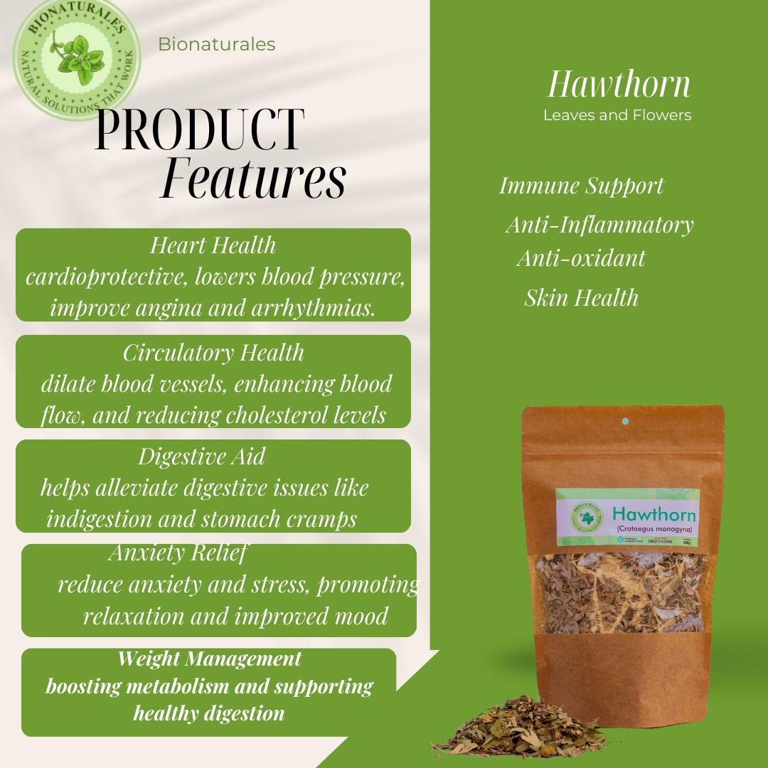 BNaturalesng's tweet photo. Unlock Heart Health Naturally with Hawthorn!

Did you know? 🌱 Hawthorn has been treasured for centuries for its powerful support for heart health. From boosting circulation to helping manage blood pressure, this herb is a natural ally for your cardiovascular wellness. https://t.co/Hi9pReKGgF
