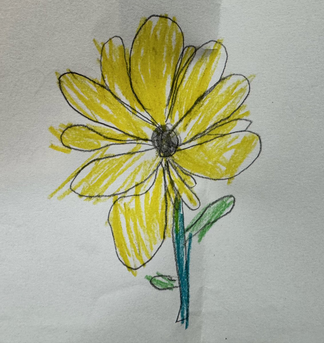 Here’s a flower from us to you! 
We have some great little artists in our team. 

“Flowers always make people better, happier, and more helpful; they are sunshine, food and medicine to the mind."
– Luther Burbank

#FlowerAppreciation 
#GrowWild