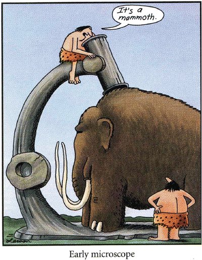 Micromorphology 😂

Cartoon from the Gary Larsen’s Far Side. This cartoon has been published in the Proceedings of the International Working Meeting on Soil Micromorphology in San Antonio, Texas, July 1988.
#micromorphology #soil