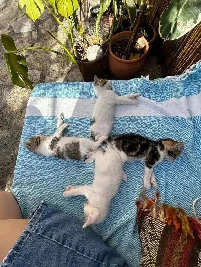 Василий Новиков tweet media