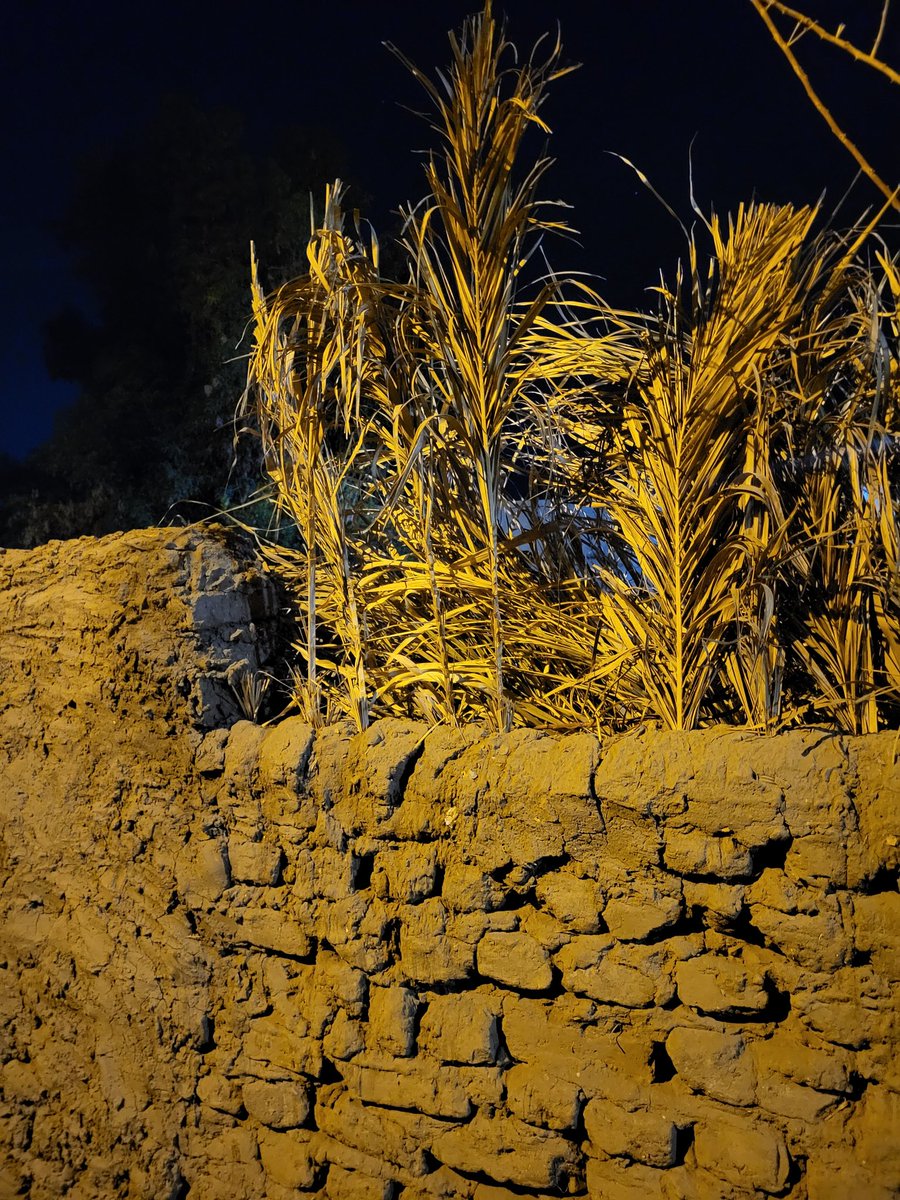 Elephantine Island in Egypt by night! 

#egypt #elephantine #aswan