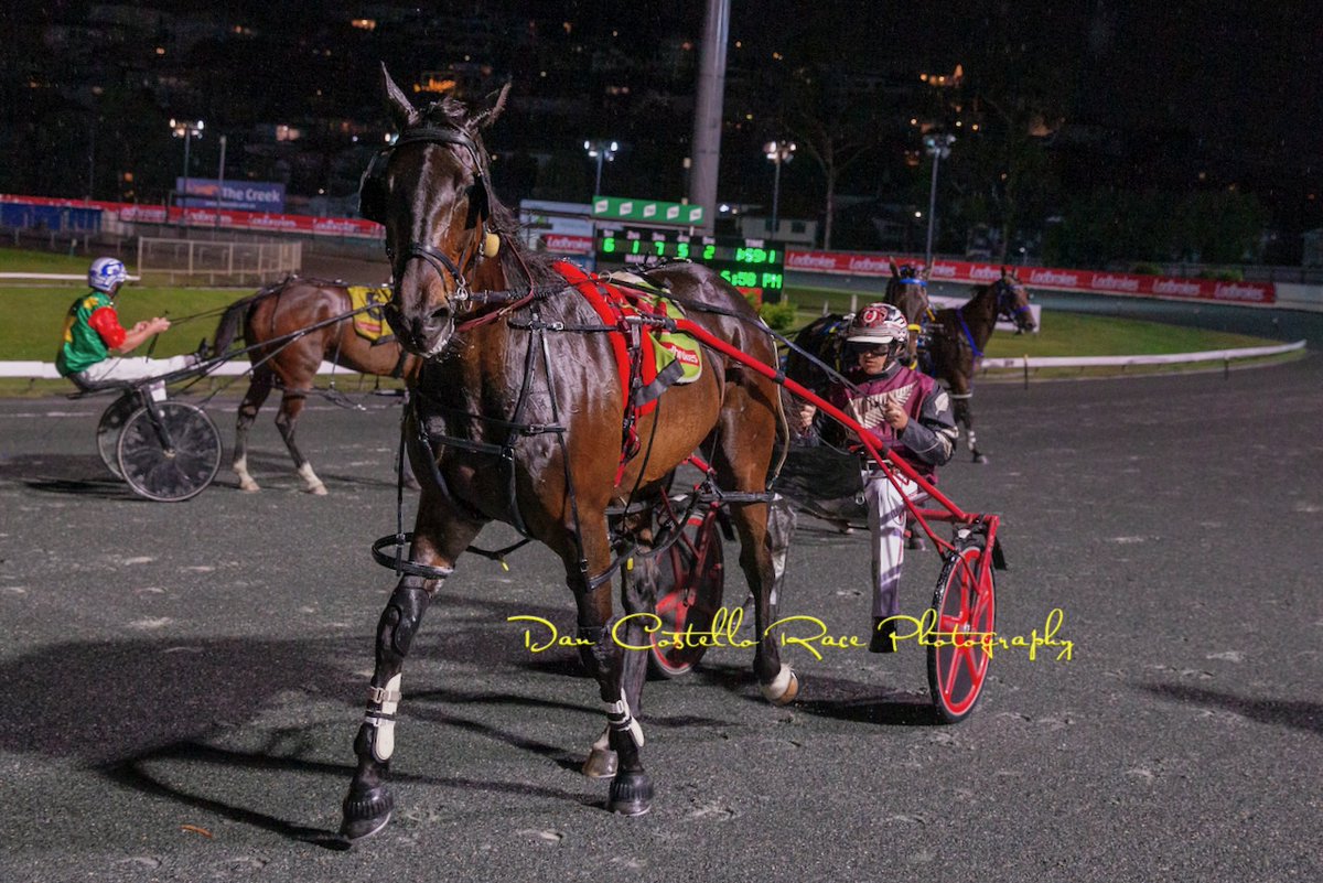 Dan Costello (@danracingwrap) on Twitter photo Borella with <a href="/barnesy1997/">Brendan Barnes</a> showed blistering speed to lead shortly after the start & went on with the job to win race 2 <a href="/TheCreekAlbion/">The Creek</a> for trainer <a href="/RileyButt6/">Riley Butt</a> @TRButtRacing <a href="/chapeauxx/">Alan Aitken</a> Borella with <a href="/barnesy1997/">Brendan Barnes</a> showed blistering speed to lead shortly after the start & went on with the job to win race 2 <a href="/TheCreekAlbion/">The Creek</a> for trainer <a href="/RileyButt6/">Riley Butt</a> @TRButtRacing <a href="/chapeauxx/">Alan Aitken</a>