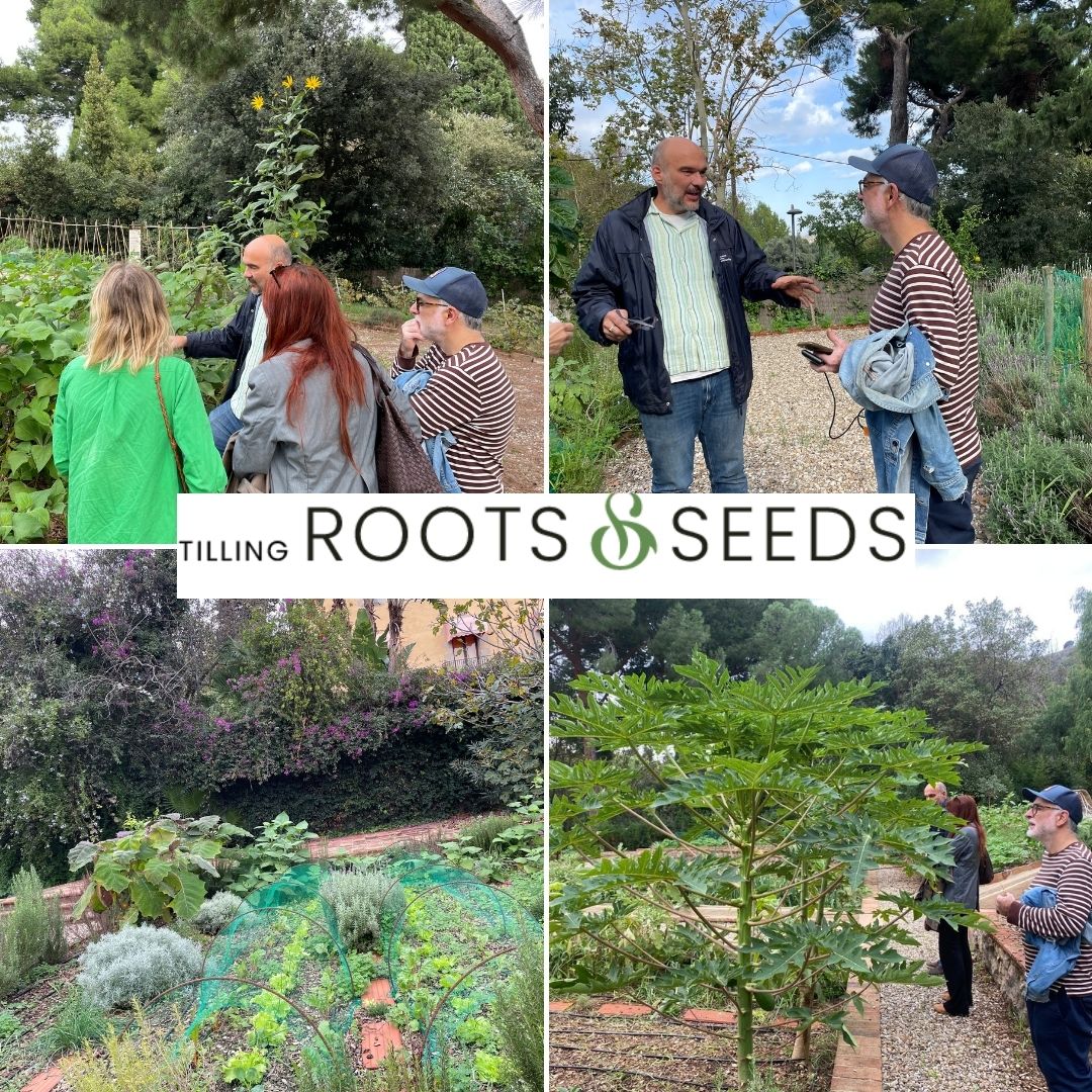 Tilling Roots & Seeds (@rootsandseeds21) on Twitter photo 🌱 Exciting news! The first period of <a href="/santiagomorilla/">santiago morilla</a>’s residency has kicked off, hosted by urban agricultural initiatives across Barcelona! In partnership with “Green for Good” and other urban agriculture groups,🌱 Stay tuned for more! 🌍🌿 #TillingRootsAndSeeds 🌱 Exciting news! The first period of <a href="/santiagomorilla/">santiago morilla</a>’s residency has kicked off, hosted by urban agricultural initiatives across Barcelona! In partnership with “Green for Good” and other urban agriculture groups,🌱 Stay tuned for more! 🌍🌿 #TillingRootsAndSeeds