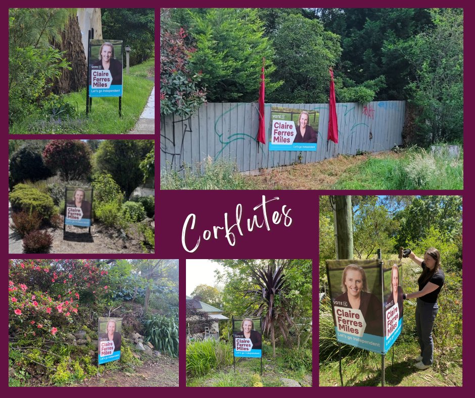 Can you please host a corflute sign in your front garden? Name recognition is crucial in elections. Party politicians can rely on the party name, but a community independent can't. With your help I can level the playing field and we're starting early. claireferresmiles.com/corflute_sign_…