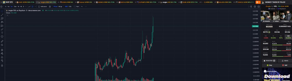 Wow $JORGIE looks locked in now

100 MIL+ programmed

$PNUT fomo is flowing in.

First monkey to a billion.