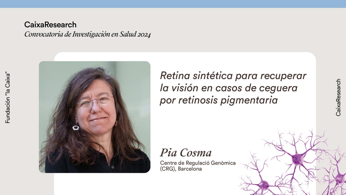 CaixaResearch (@caixaresearch) on Twitter photo 👁️ La retinitis pigmentaria es una enfermedad minoritaria degenerativa que afecta a la retina y puede causar ceguera.
¿Y si se pudiera desarrollar una retina sintética que ayudase a recuperar la visión? 🤔
<a href="/piacosma/">Maria Pia Cosma</a> lo investigará con una ayuda #CaixaResearch. 👉 👁️ La retinitis pigmentaria es una enfermedad minoritaria degenerativa que afecta a la retina y puede causar ceguera.
¿Y si se pudiera desarrollar una retina sintética que ayudase a recuperar la visión? 🤔
<a href="/piacosma/">Maria Pia Cosma</a> lo investigará con una ayuda #CaixaResearch. 👉