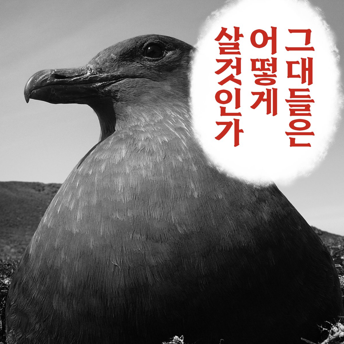 kopripr's tweet image. “수능 D-0”
그대들은 어떻게 살 것인가.. 🪶
너무 걱정하지 마세요!
그냥… 행복하게 살면 되지 않을까요? 🐧
수능 보시는 모든 분들을 극지연구소가 응원합니다!
