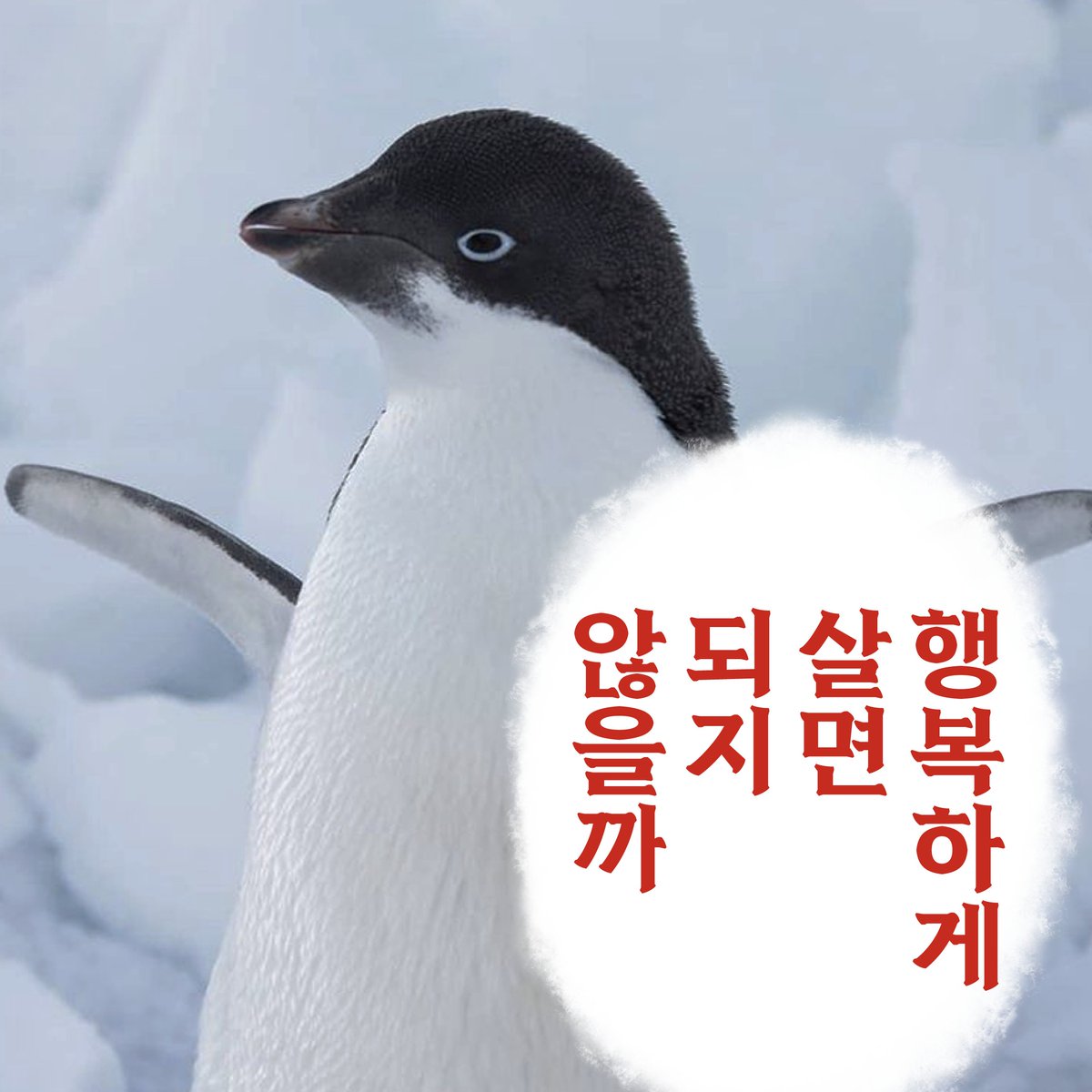 kopripr's tweet image. “수능 D-0”
그대들은 어떻게 살 것인가.. 🪶
너무 걱정하지 마세요!
그냥… 행복하게 살면 되지 않을까요? 🐧
수능 보시는 모든 분들을 극지연구소가 응원합니다!