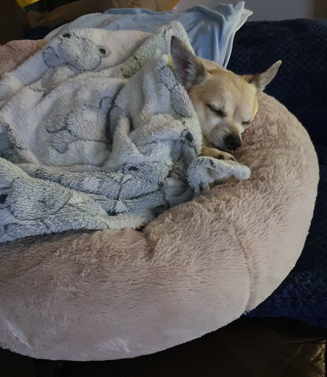 4 weeks ago since you left this world with my heart, heartbroken doesn’t begin to describe how I feel Cyril 💔