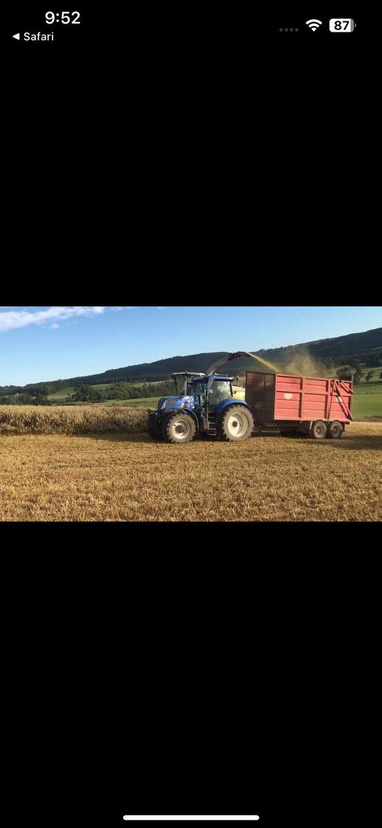 We are looking to recruit an Experienced General Farm Worker! 🌾🐄🐑

Rydyn yn recriwtio Gweithiwr Fferm Cyffredinol profiadol! 🐄🌾🐑 

jobs.aber.ac.uk/en/vacancy/gen… 

jobs.aber.ac.uk/cy/vacancy/tec…