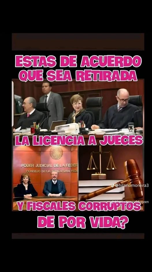 Orlando71156528's tweet photo. Si, totalmente de acuerdo. https://t.co/AQpEA3cZIZ