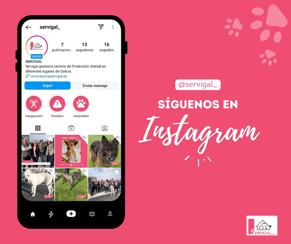 ¡Ya estamos en Instagram! 👉 instagram.com/servigal_

Síguenos para no perderte nada sobre ninguna novedad sobre nuestros peludiños y bigotudos y ayúdanos a difundir sus casos 🐶🐱