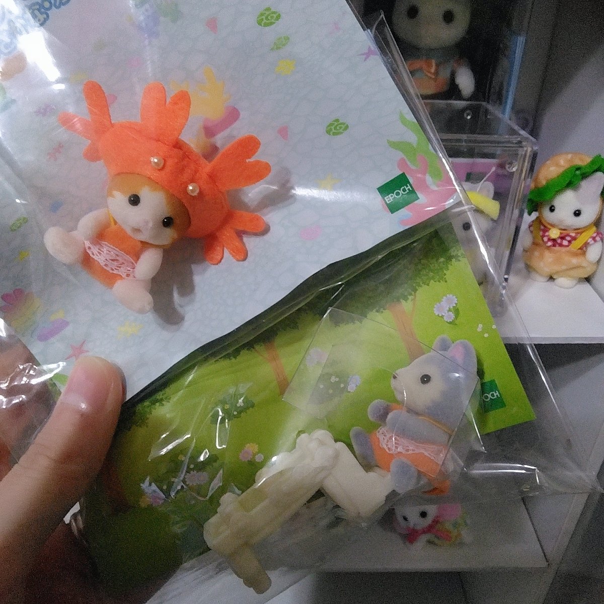 ひまわり💗 tweet media