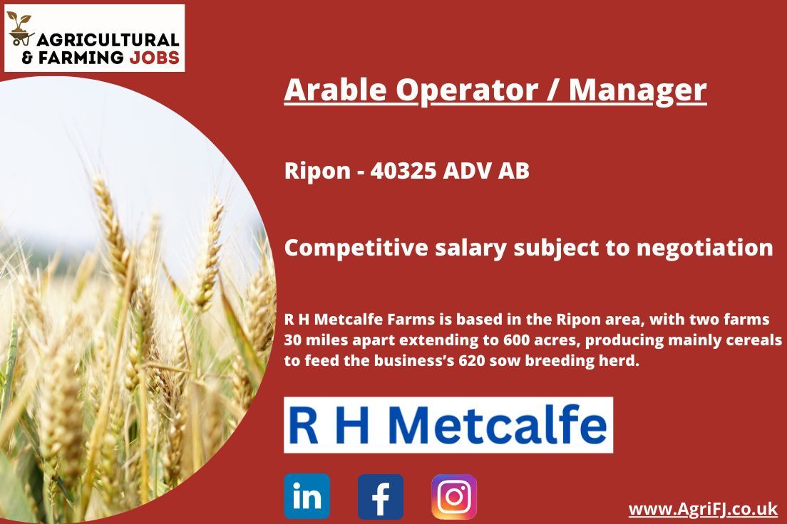 Agriculturaljob's tweet image. New Job Opportunity - Arable Operator / Manager - R H Metcalfe
📍 Ripon
💰 Competitive salary subject to negotiation

To find out more about this job role and to apply - buff.ly/4exyhQI 

#agrifj #agriculturalandfarmingjobs #arableoperator #arablemanager #arable #ripon