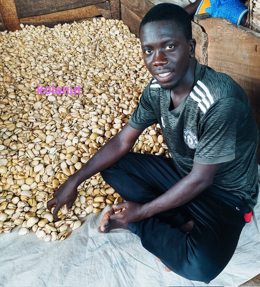 ISAMWEB3's tweet image. Allah kasamana albarka acikin kasuwancin mu #KOLANUT