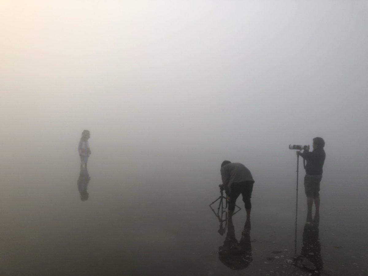 Majuli_Chapori's tweet image. On a super #smoggy day like today in #Delhi, reminding myself what real #fog looked like! 
#Majuli #Assam #BTS #Documentary
