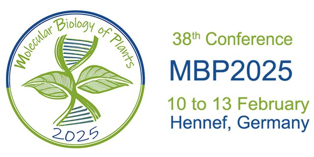 🚨Registration deadline approaching:

There are only 2 days left, if you want to register for #MBP2025 of our Section <a href="/MolPlantSci/">SPPMB</a>, organized by <a href="/MCBotany/">Christopher Grefen</a>
taking place from 10-13 February 2025 in #Hennef
pflanzen-molekularbiologie.de/en/conference-…
