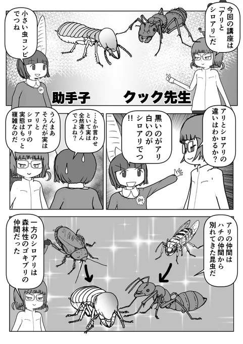 色々と誤解されてそうな動物を漫画で解説していくぞい。
第18回「アリとシロアリ」1/2
#クック先生の動物講座 #アリ #シロアリ #ハチ #ゴキブリ #漫画が読めるハッシュタグ #マンガが読めるハッシュタグ #キノコ 