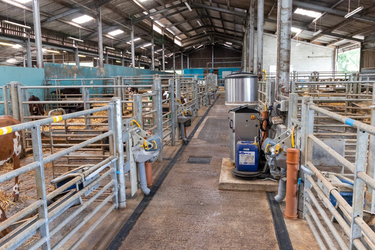 Rydyn hefyd yn recriwtio ar gyfer Gweithiwr Llaeth profiadol!🐄

We are also looking to recruit a Experienced Dairy Worker!🐄

jobs.aber.ac.uk/en/vacancy/far… 

jobs.aber.ac.uk/cy/vacancy/tec… 

Please send a DM if you have any questions / Croeso chi hela neges am fwy o wybodaeth✉️