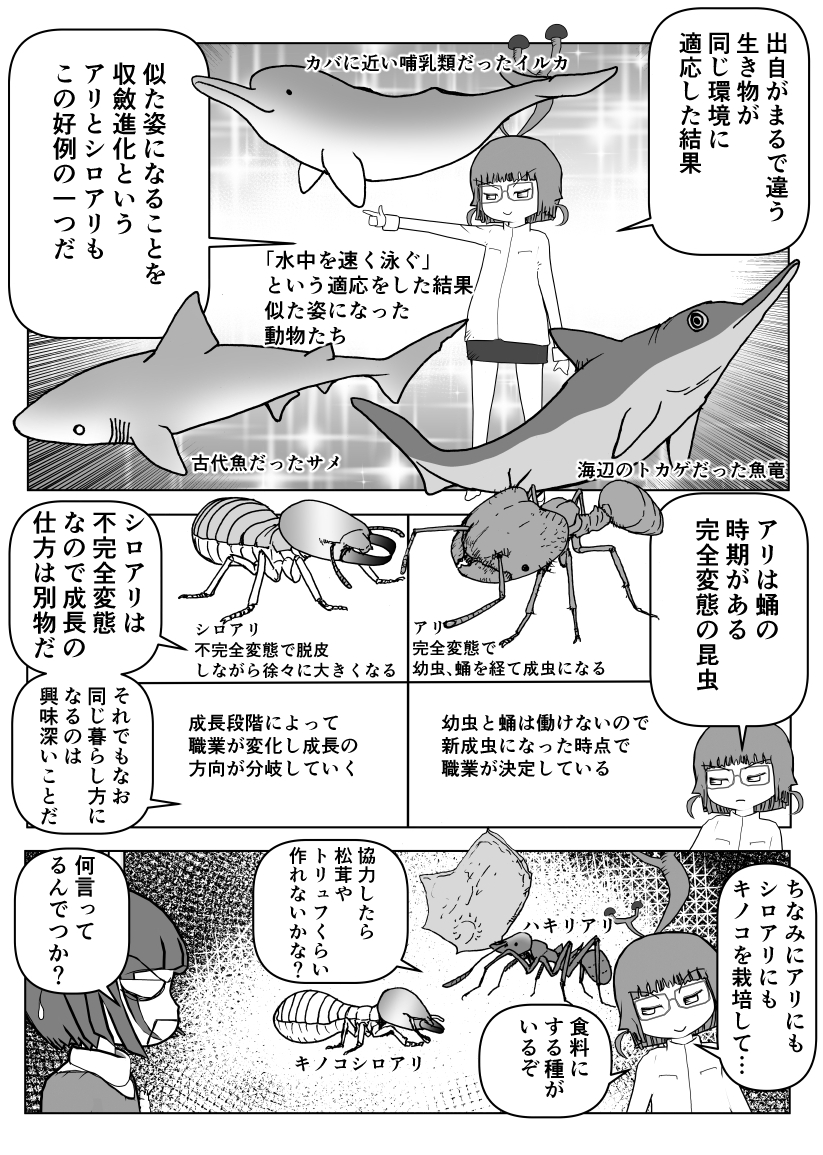 色々と誤解されてそうな動物を漫画で解説していくぞい。
第18回「アリとシロアリ」2/2
#クック先生の動物講座 #アリ #シロアリ #ハチ #ゴキブリ #漫画が読めるハッシュタグ #マンガが読めるハッシュタグ #キノコ 