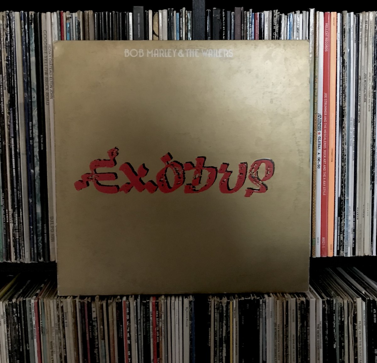 Screaming Lord 🧷🇺🇦 tweet media