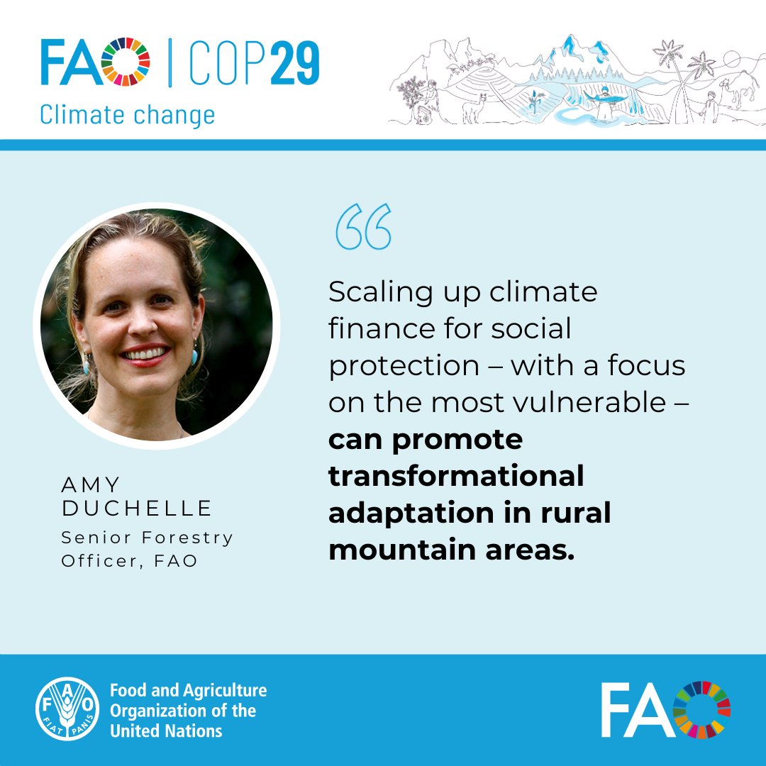 FAO Forestry tweet media