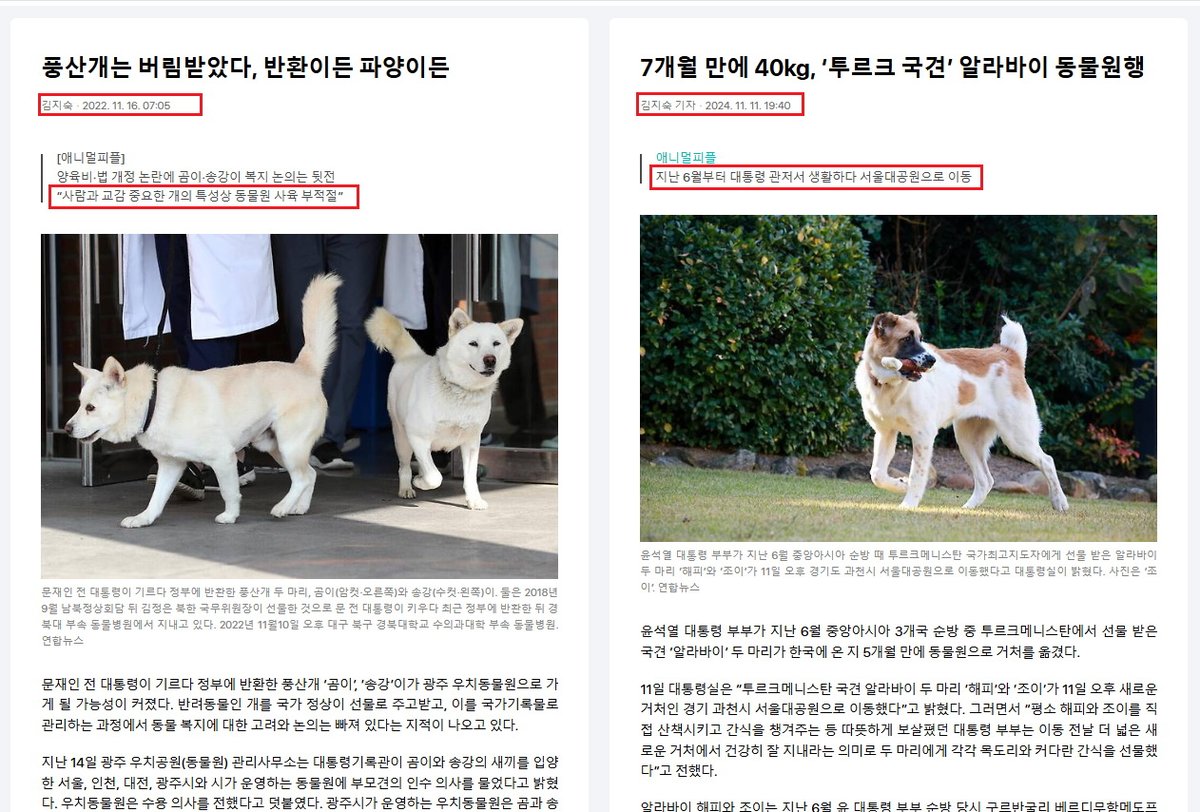 같은 기자의 다른 대통령때의 같은 개 뉴스의 다른 기사.. 문재인이 국가간 선물로 받아 기르다 동물원에 반환한 개는 버림받은 것이고..  윤석열이 국가간 선물로 받아 기르다 동물원에 반환하는 개는 너무 커서 그런거야?