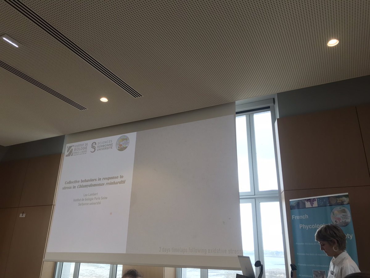Lou Lambert nous présente ses travaux sur la réponse au stress de Chlamydomonas reinhardtii #JSPF2024 <a href="/SBRoscoff/">Station Biologique de Roscoff</a>