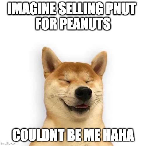 $haha dog tweet media