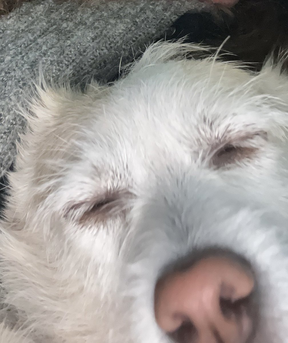 uykuru gozlemle dondur ruyadam