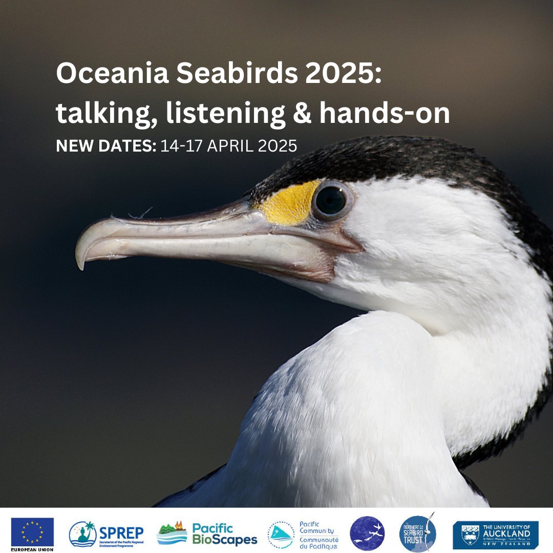 Save the Date! Oceania Seabirds - 14 to 17 April 2025 - at the University of Auckland. The conference will bring the international and Oceania communities together to discuss the importance of seabirds within the world’s largest body of water. oceaniaseabirds2025.com
