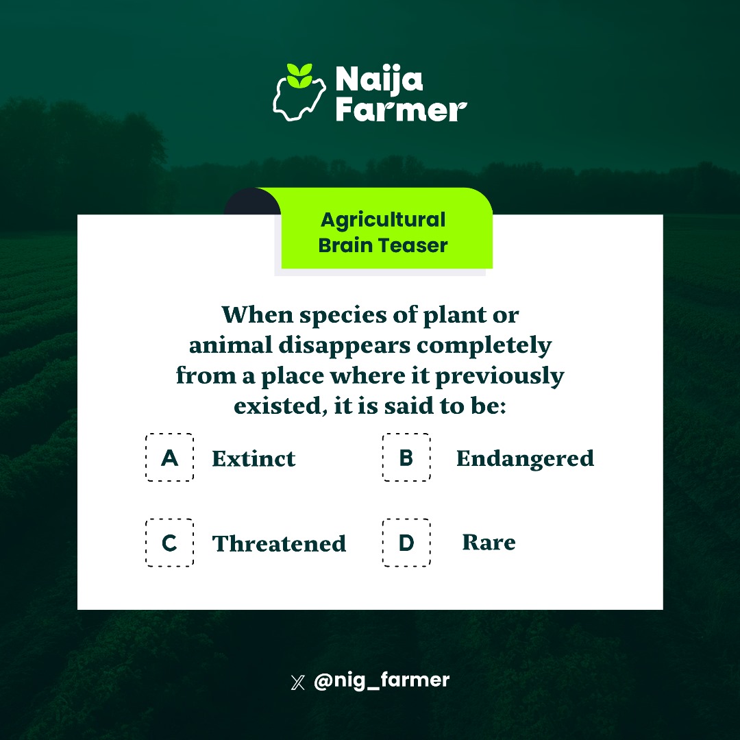 NaijaFarmer tweet media