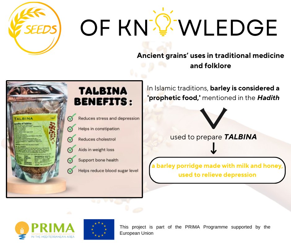 SeedsEu's tweet photo. 📚Interesting tips for #historylovers! Today we go #backinthepast together. 🔙
⁉ Did you know #barley and #wheat have a rich #history in #traditionalmedicine and #folklore? https://t.co/puAxwkSqxI