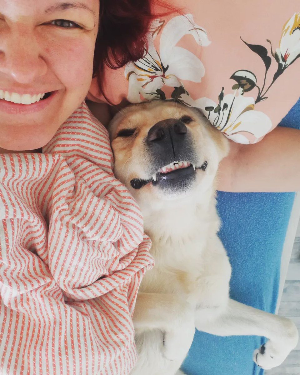 intelektualnost's tweet image. Dragi prijatelji, sa tugom vas obaveštavam: 

UDOMLJAVAM TIOSAVA! 🐕

Zbog preseljenja nisam u mogućnosti da dalje brinem u njemu, te stoga tražim za njega siguran i pouzdan dom. Spremna sam da plaćam alimentaciju svakog meseca, u vidu hrane i drugih potreba.

Molim za RT!