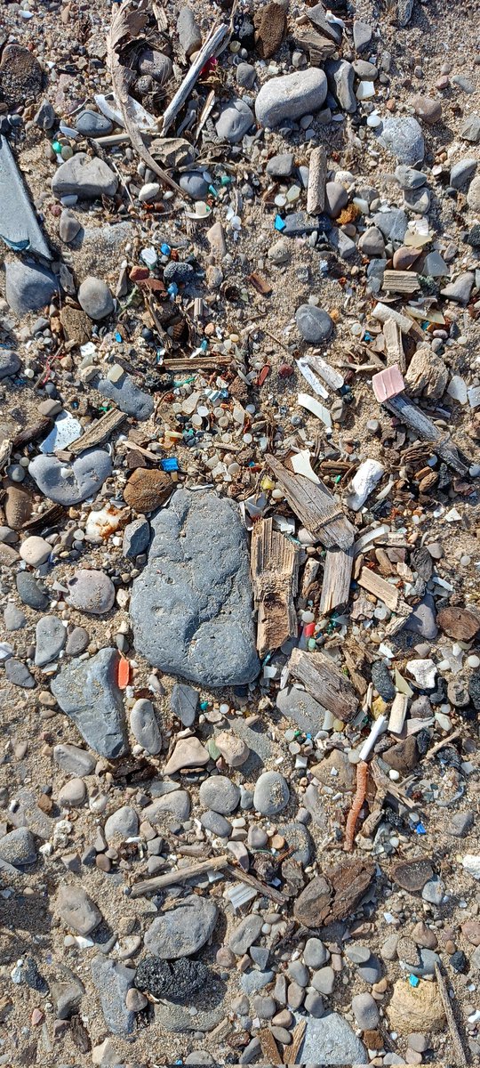 JoseLuisSTAP's tweet image. Quin recorregut legal té denunciar el lobby d'@ecoembes i empreses que el formen?

•Falsejar dades separació i reciclatge #residus

•Incomplir Llei Residus i no recuperat 100% d'#envasos produïts

•Delicte ambiental

•Traves a implantar sistemes eficients i primar beneficis