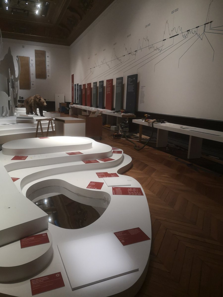 Fin de l'exposition La Somme des Préhistoires. Les œuvres retrouvent leurs caisses, voyagent et les équipes s'affairent pour préparer la suite. La Préhistoire n'a pas dit son dernier mot au Musée de Picardie! <a href="/AmiensMetropole/">Amiens Métropole - Ville d’Amiens</a> <a href="/Inrap/">Inrap</a> <a href="/Inrap_ActuHDF/">Actualités Inrap Hauts-de-France</a>