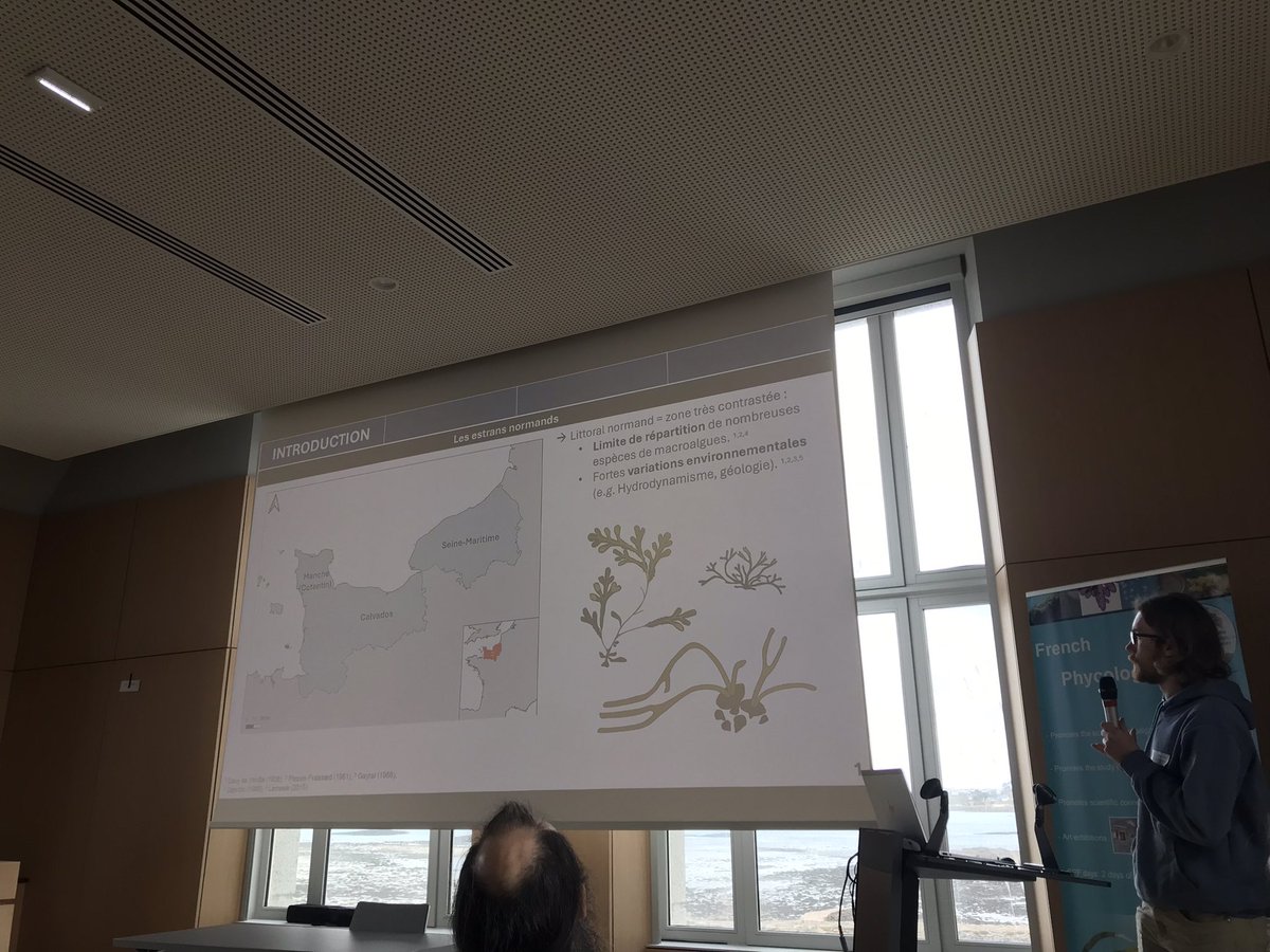 Matthieu Helias présente ses travaux sur les variations de zonation et de diversité de macroalgues le long du littoral normand #JSPF2024 <a href="/SBRoscoff/">Station Biologique de Roscoff</a>