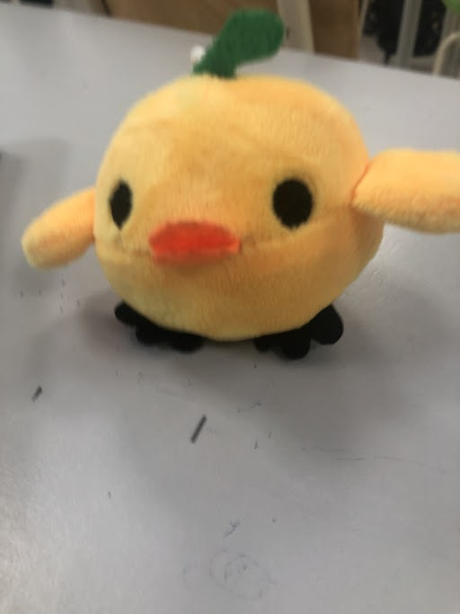 Idkanythingtodo's tweet photo. got this lil guy....what should i name him? https://t.co/dYlZbti4KZ