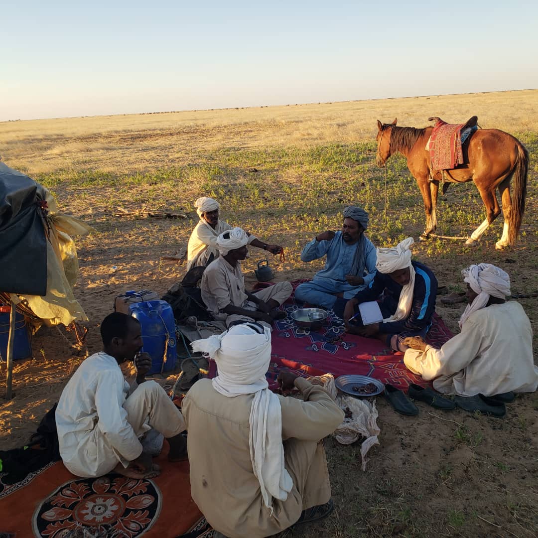 Sahara Conservation tweet media