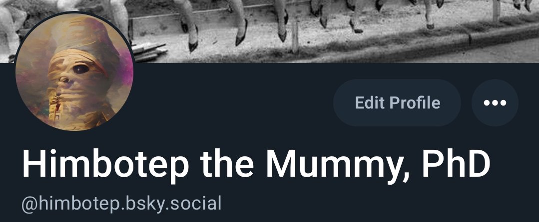 Your periodic reminder that you can find mummies in other places, if you know where to look.