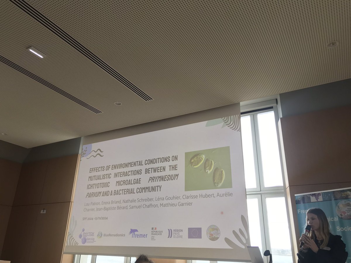 Présentation de Lou Patron sur les interactions biotiques au sein de l’holobionte Prymnesium parvum #JSPF2024 <a href="/SBRoscoff/">Station Biologique de Roscoff</a>
